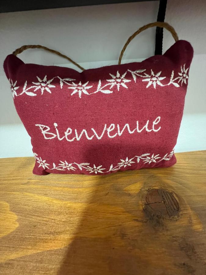 Les Gites De La Bergerie - Boule De Neige Мексимьё Экстерьер фото